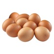 Chicken Egg 10PCS (Loose)