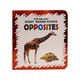 Kiddy Board Book Opposites