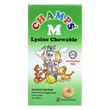 Champs M With Lysine 30 Tablets(Orange)