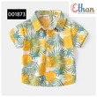 Hawaii Shirt 6yr  1873