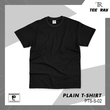 Tee Ray Plain T-Shirt PTS - S - 02 (L)