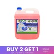 Eco Clean Laundry Detergent (Pinky) 3.5KG