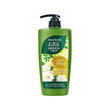 Follow Me Green Tea Damage Repair Shampoo 650ML (Camellia Extract)
