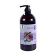 Forthehair Anti Dandruff Shampoo Ficus Carica500ML