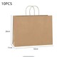 Paper Bag(10Pcs) KPT-0498