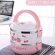 2 layer lunch box (Hello Kitty)
