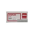 Oasis Staples 12Pin No.0012N