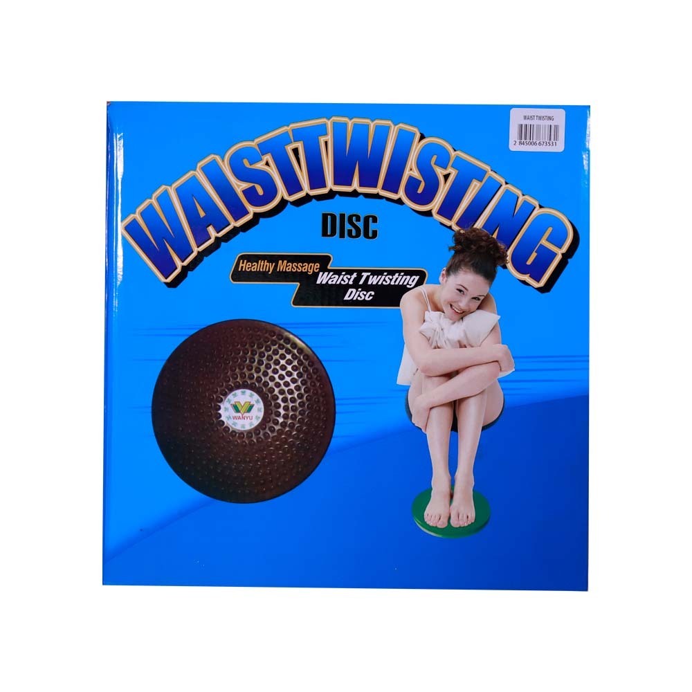 Family Waist Twisting Disc