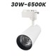 Wellmax Eagle Eye Premium Track Light White 30W 6500K