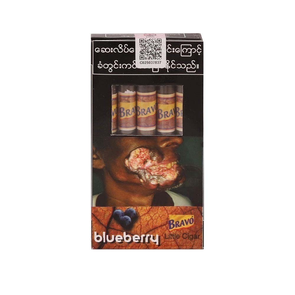 Bravo Cigar Blue Berry 5PCSx100