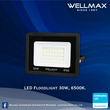 Wellmax Wellmax Flood Light 30W, 
SAMSUNG LED 85-265V , 
2700lm , IP 65 30W LT-FAP30