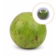 Guava (Pc)
