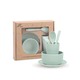 Wheat Straw Dinnerware Set Green