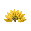 Banana Phee Gyan (2-3Kg)