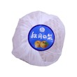 Autumn Honey Pear