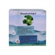 Herbalious Harmony Centella Green Tea 10PCS 20G