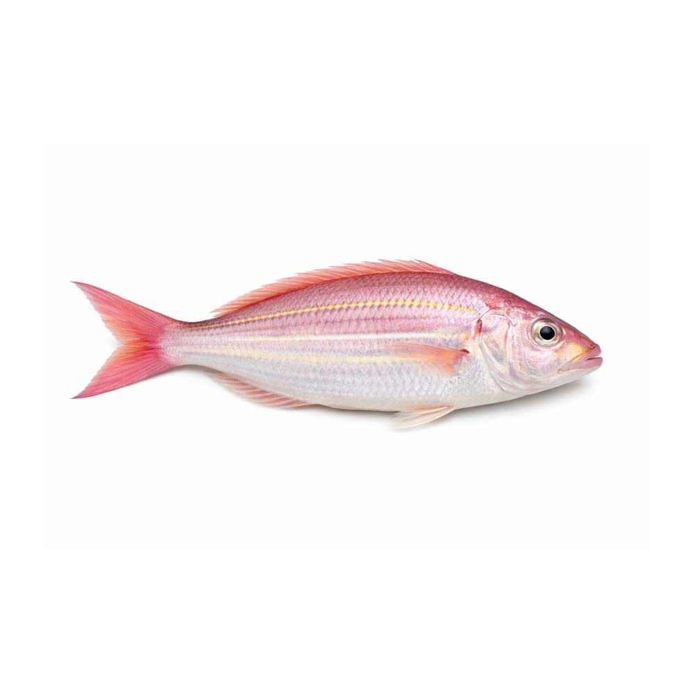 ရွှေငါးတစ်ကောင်