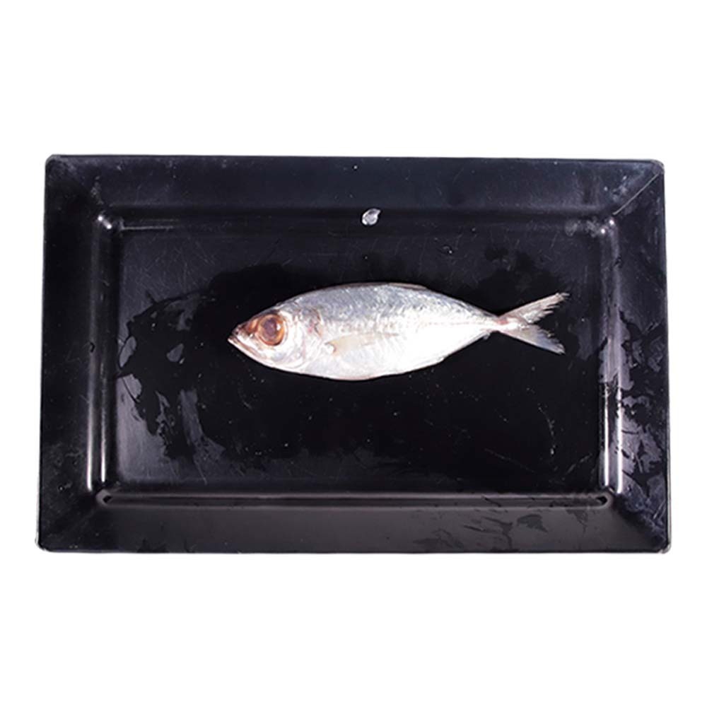 ပလာတူးငါးတစ်ကောင်