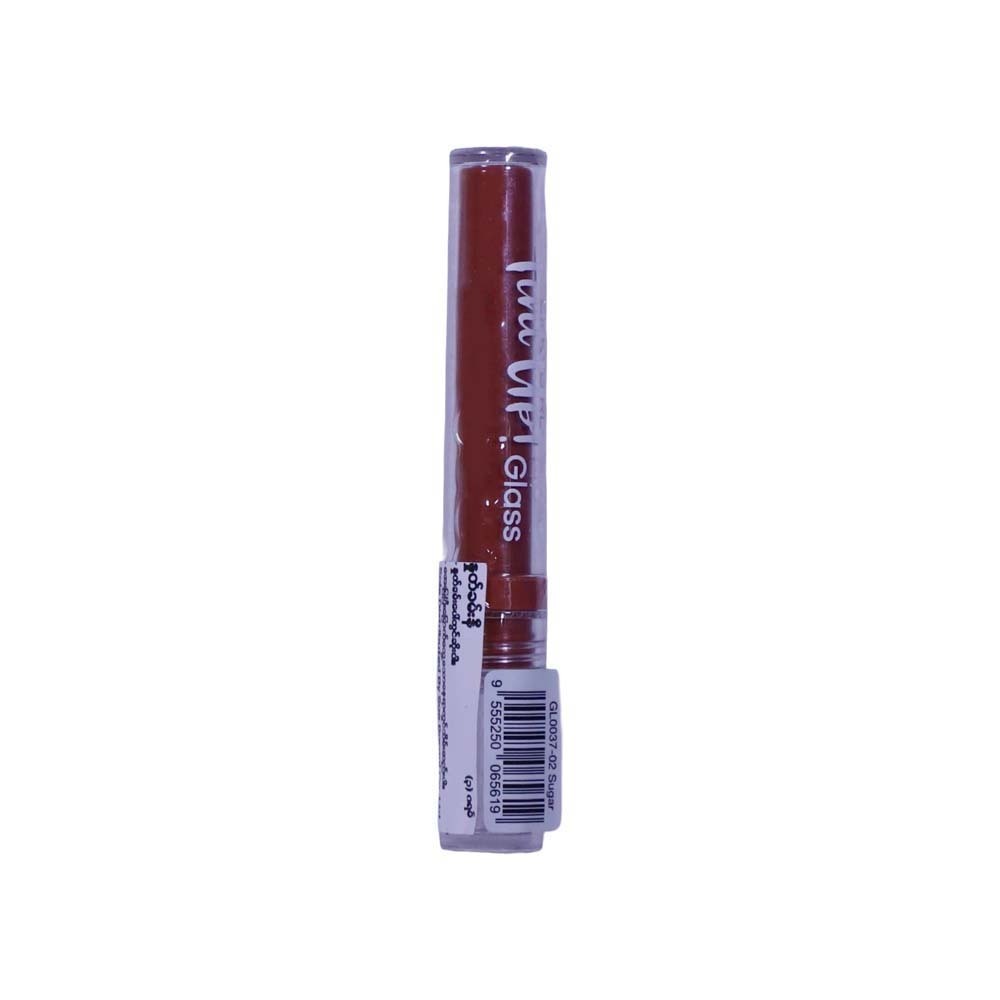 Silkygirl Tint Up Lip Glass 3G 02