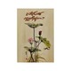 U Dan Thit Short Stories-1 (Group)