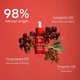 Apivita Beevine Elixir Replenishing Firming Face Oil 30ML