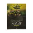Plants & Animals (Mg Tin Oo)