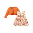 Baby Girls Geometric Sweet Dress Set With Ruffle Edge 2PCS 20742758
