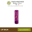 Yves Rocher Lip Balm Blackberry Stick 4, 8G - 12895