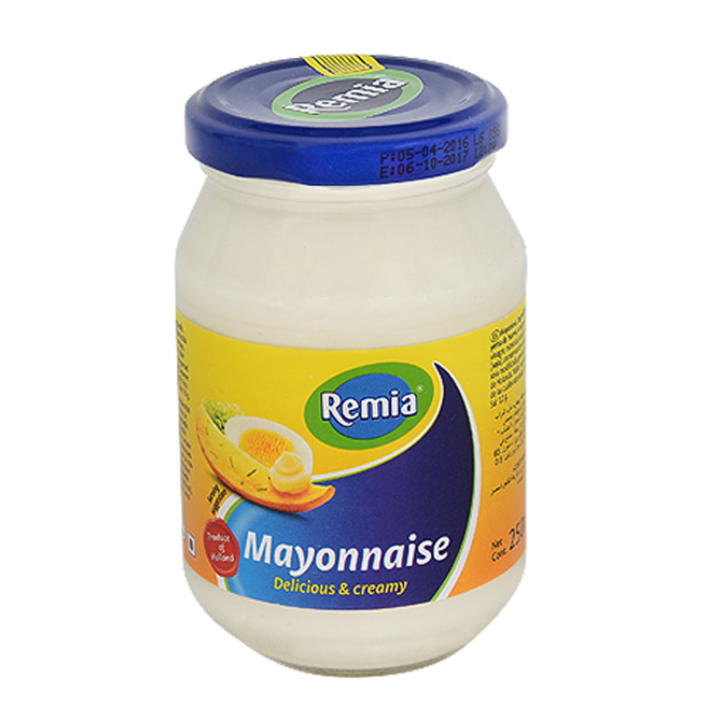 Remia Mayonnaise 241G