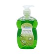 Eco Clean Hand Wash With Pump (Green Tea) 500ML