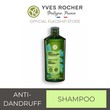 Anti-Dandruff Treatment Shampoo 300ML 67881