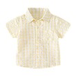 Boy Shirt B40018 Medium (2 to 3) Years
