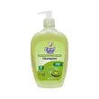 Excel Care Champion Anti-Bacteria Hand Wash 500ML (Kiwi)