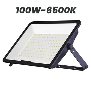 Wellmax Submarine Flood Light 100W 6500K