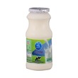 Dutch Mill Pasteurized Milk Sweet 155ML