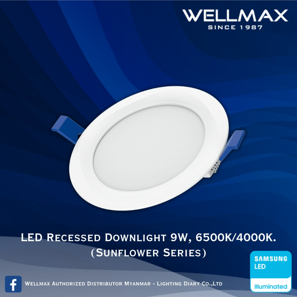 Wellmax Sunflower Series LED Recess Round Downlight 9W L-DL-0120(R)