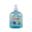 Family Care Hand Wash Anti-Bact Berry 500ML
