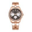 Alexandre Christie Men Watch AC2949BFBRGDG Cherry Oo