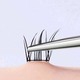 Eyelash (Glue Free)