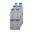 Wave Plus Purified Drinking Water 1LTRx6PCS