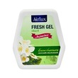Airlux Air Freshener 60G (Jasmine)