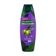 Palmolive Silky Straight Olive OIL & Keratin Shampoo & Conditioner 180ML