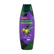 Palmolive Shampoo Silky Straight 180Ml