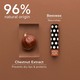 Apivita Lip Care Chestnut 4.4G