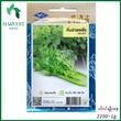 Harvest Shop တရုတ်နံနံအကြီးမျိုးစေ့ LF 015