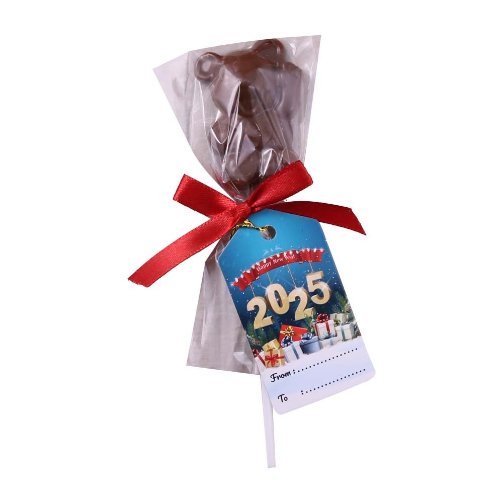 Chocochit Chocobear Chocolate Lollipop 15G