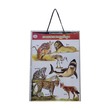 U Learn Carnivores Poster