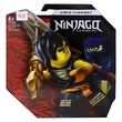 Lego Ninjago Cole&Ghostwarrior Battle Set No.71733