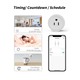 Tuya Smart life Wifi Metering Socket Smart Plug SMT0000561