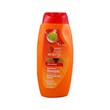 Makarizo Shampoo Olive Extract 170ML